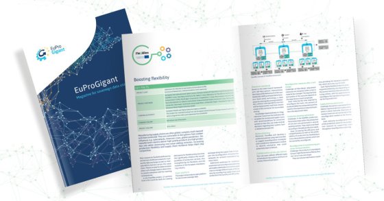 Flex4Res EuProGigant Magazine